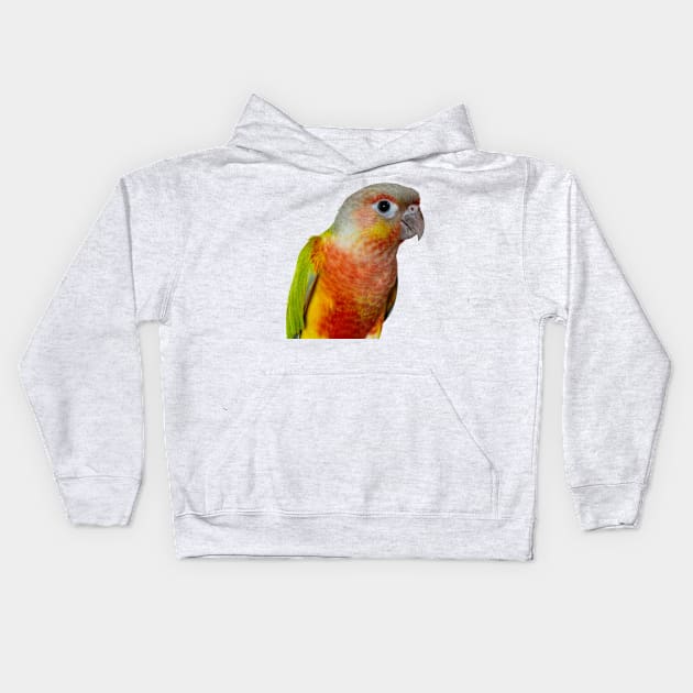 Pineapple Green Çheeked Conure Parrot Bird Kids Hoodie by Jim N Em Designs